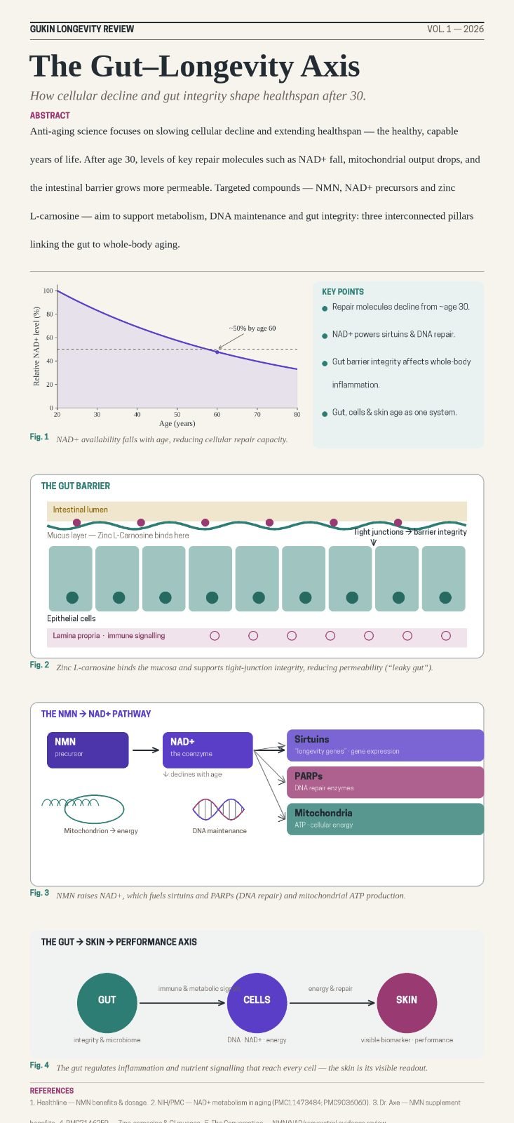 The gut-longevity axis